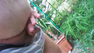 Piss In Garden