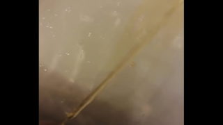 Piss In Sink