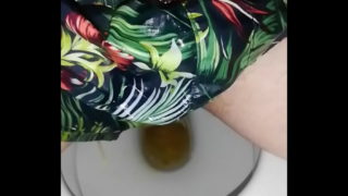 Piss In Toilette