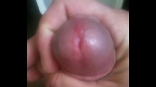 Piss In Work