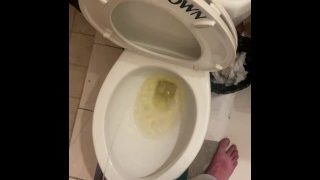 Piss Into Shared Hostel Toilet