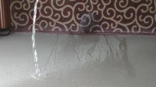 Piss On Hotel Wall