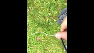 Piss On The Graffiti Wall Public