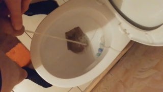 Piss Toilet