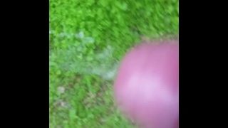 Piss Walking In Backyard