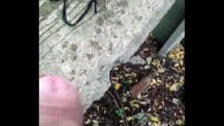 Pissing