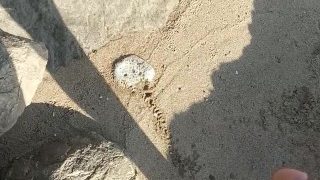 Pissing