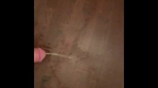 Pissing All Over Apartment