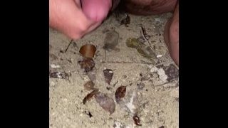 Pissing And Quick Jerk Outside