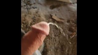 Pissing At Work