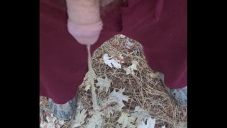 Pissing Early Morning Outside