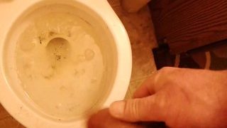 Pissing In A Dirty Toilet.