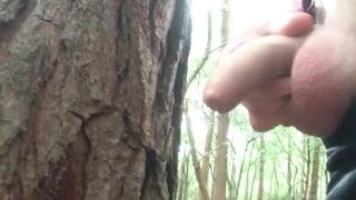Pissing In Public
