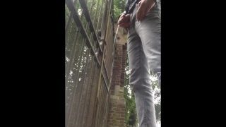 Pissing In Public