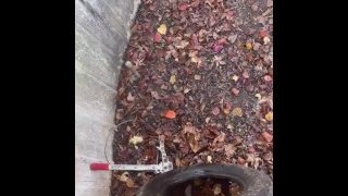 Pissing In Public