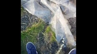 Pissing In Public, Long Desperate Piss In The Wind