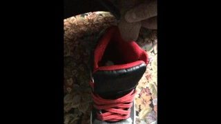 Pissing In Shoe