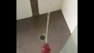 Pissing In Shower
