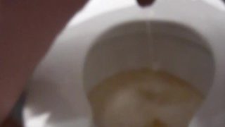 Pissing In The Restaurant Stall