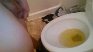 Pissing In The Toilet