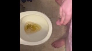 Pissing In The Toilet
