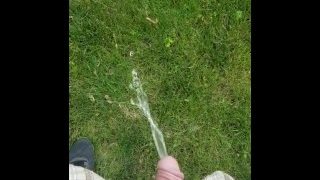 Pissing In The Yard