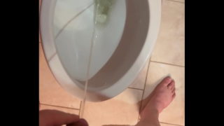 Pissing In Toilet