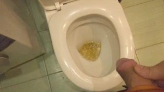 Pissing In Toilet