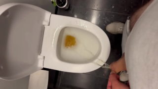 Pissing On A Public Toilet