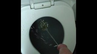 Pissing On The Plane