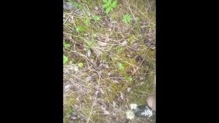 Pissing On The Street In Public