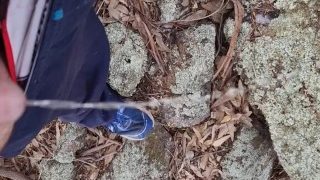 Pissing Outdoors