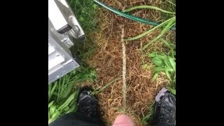 Pissing Outside