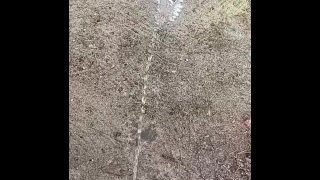 Pissing The Morning Away