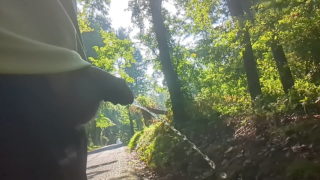 Public Piss
