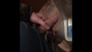 Public Urinal Piss And Play
