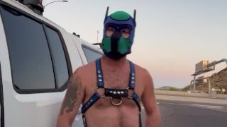 Pup Highway Pissing