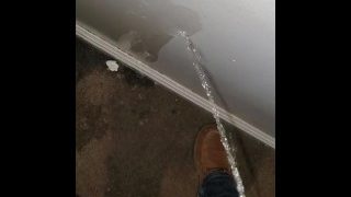 Really Had To Piss All Over Apartment Hallway Wall