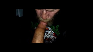 Servicing Bear Cock