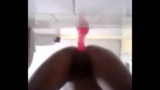 Sexo Amador Brincando Co O Tedy