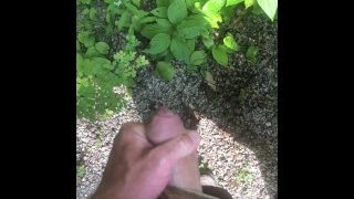 Solo Male Outdoor Pissing Compilation