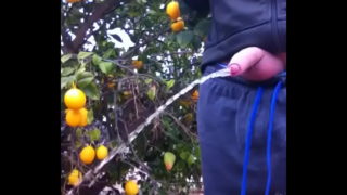 Str8 Piss.mp4