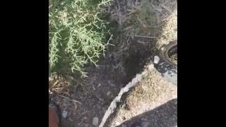Summer Outdoor Piss