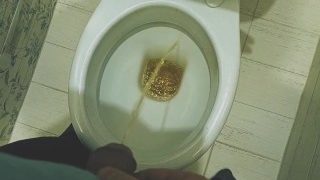 Teen Boy Pissing In Toilet At Home / Andris