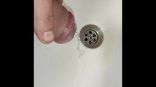 The Toilet Is Busy. Went To The Bathroom To Pee