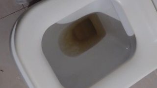 Toilet Cover In Piss That I Made