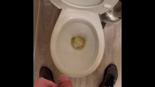 Toilet Piss