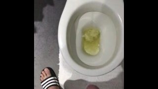 Toilet Piss