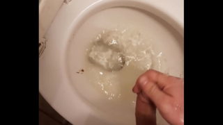 Toilet Piss Fountain