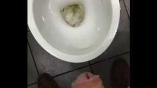 Toilet Piss Fun